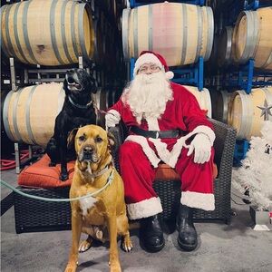 Meet your Posher, Isabelle